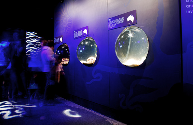 Melbourne-Aquarium.jpg